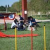100 strade per giocare 2008